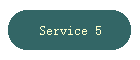 Service 5